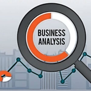 analisi business